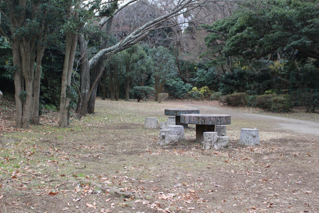 片瀬山公園